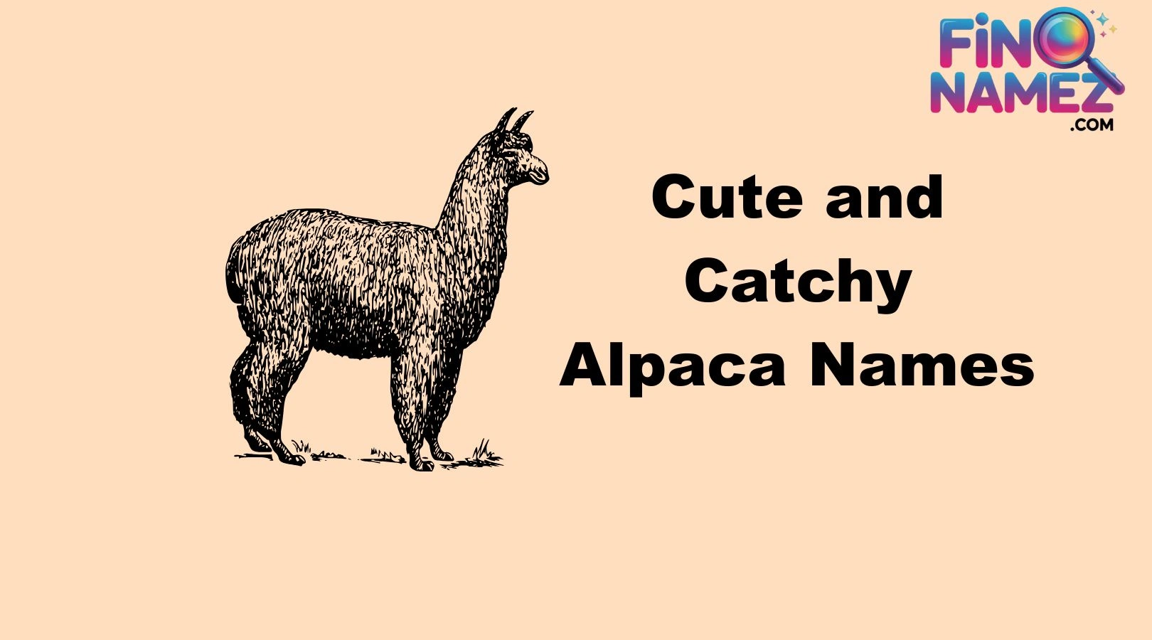 Cute and Catchy Alpaca Names