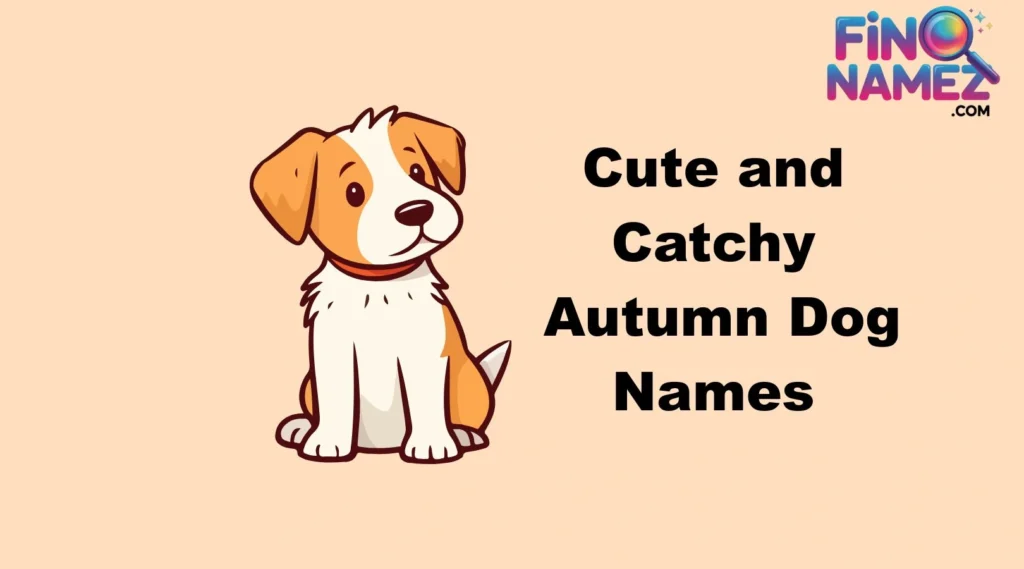 Cute and Catchy Autumn Dog Names