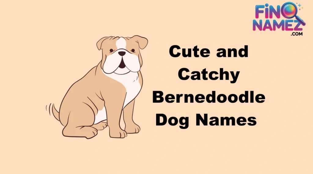 Cute and Catchy Bernedoodle Dog Names