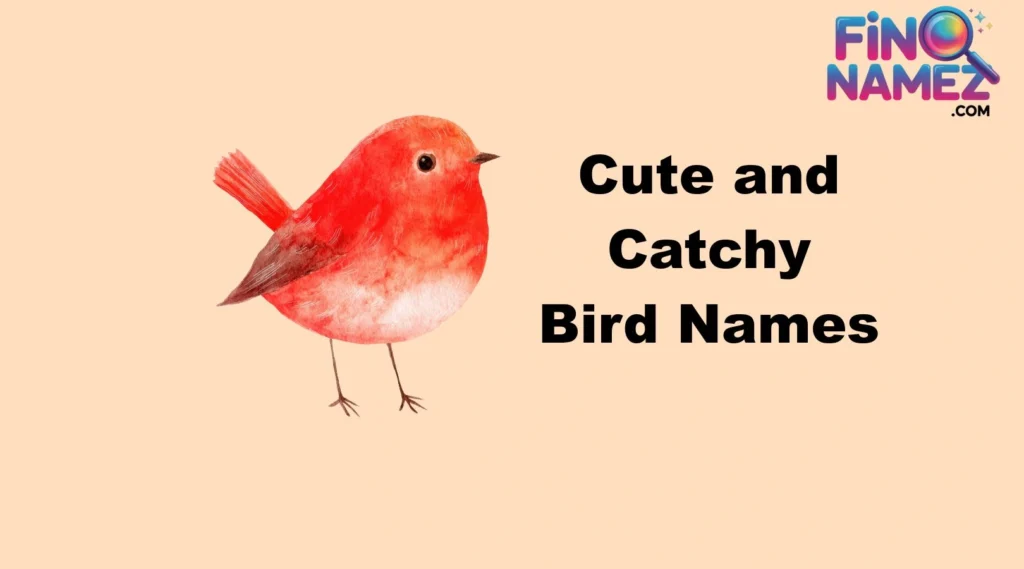 Cute and Catchy Bird Names