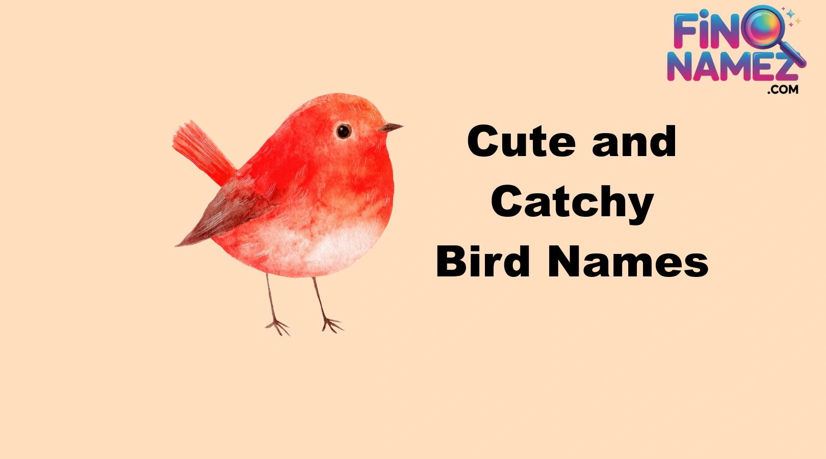 Cute and Catchy Bird Names
