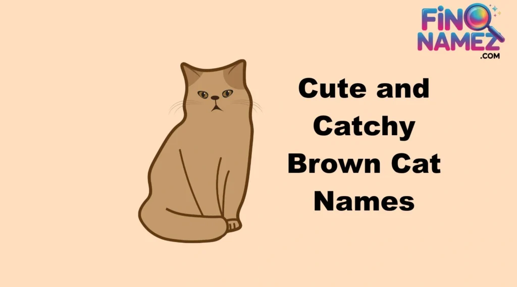 Cute and Catchy Brown Cat Names