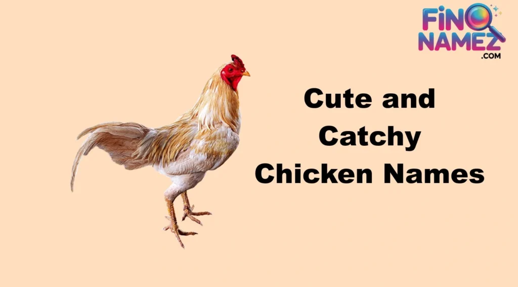 Cute and Catchy Chicken Names