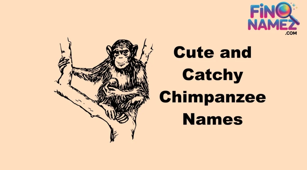 Cute and Catchy Chimpanzee Names