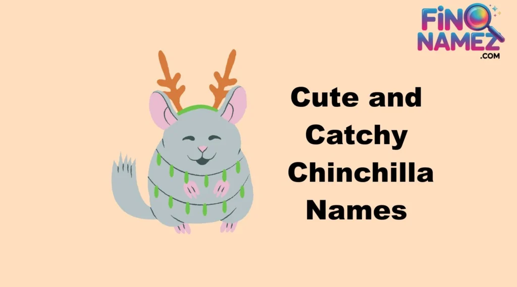 Cute and Catchy Chinchilla Names