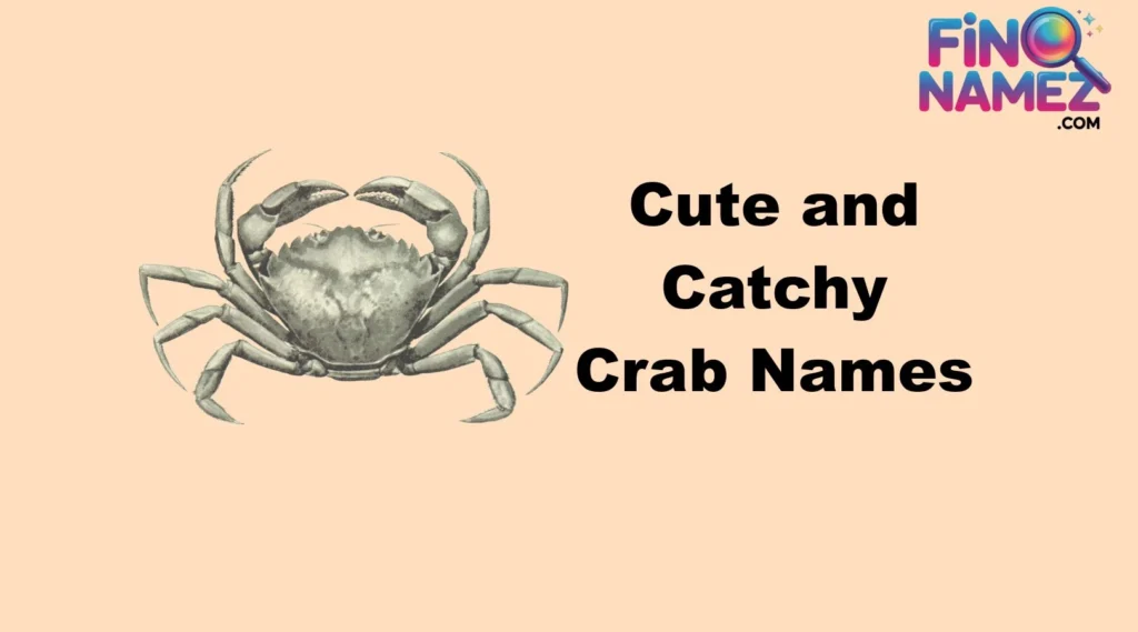 Cute and Catchy Crab Names