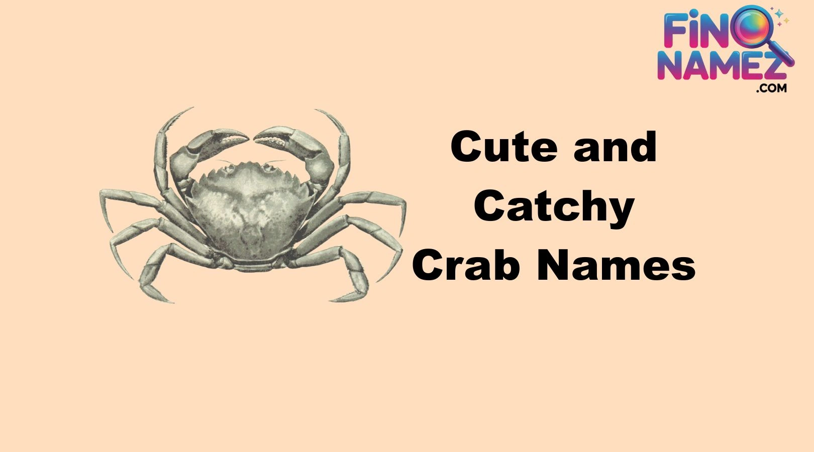 Cute and Catchy Crab Names