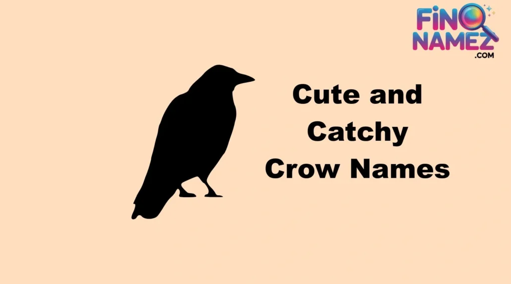 Cute and Catchy Crow Names