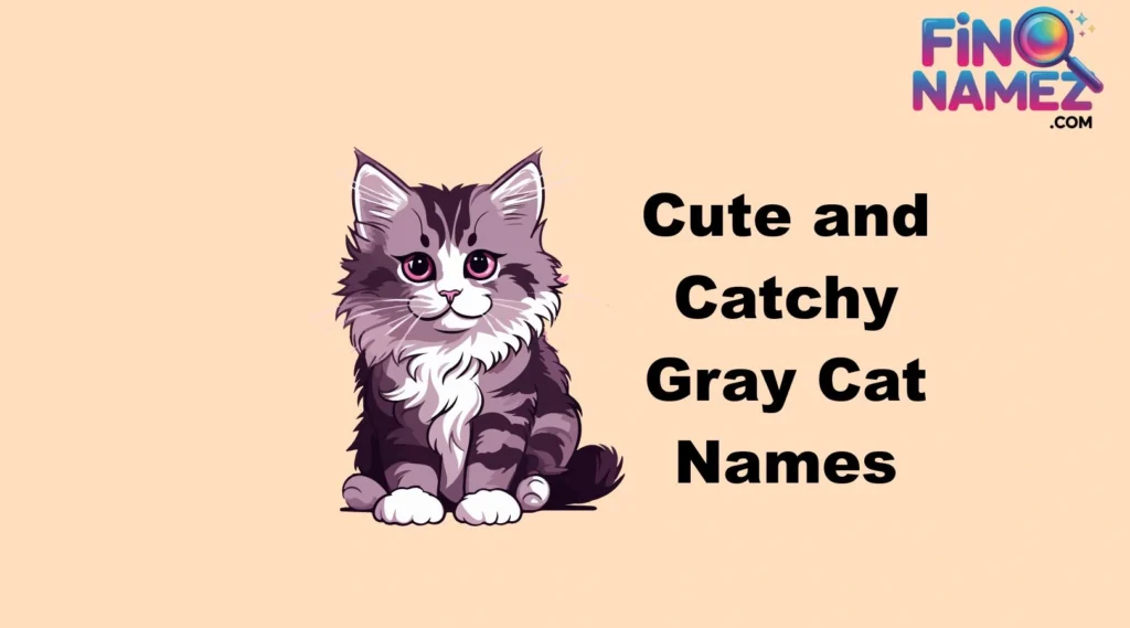 Cute and Catchy Gray Cat Names