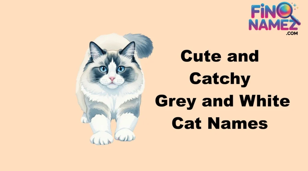 Cute and Catchy Grey and White Cat Names
