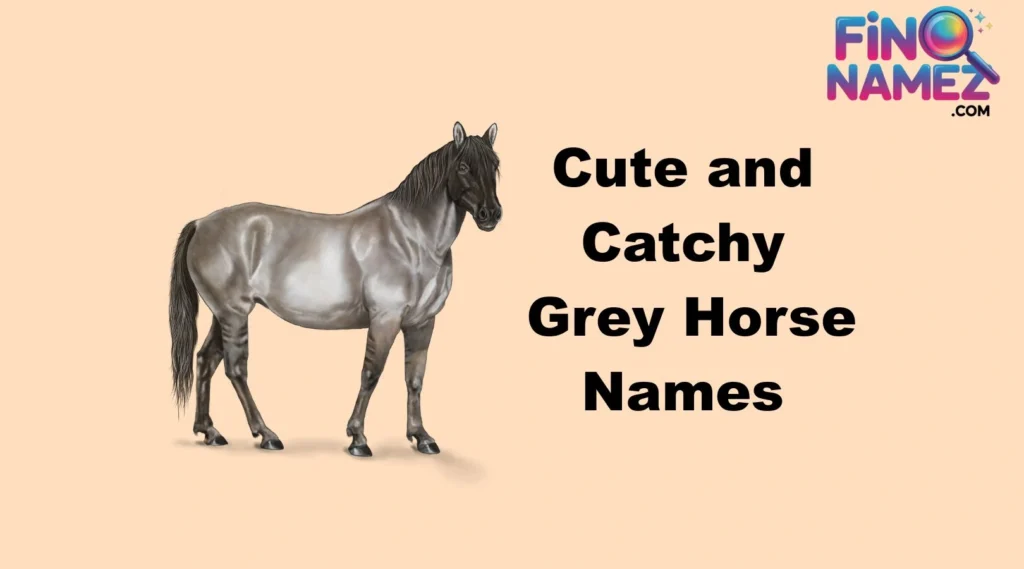 Cute and Catchy Grey Horse Names