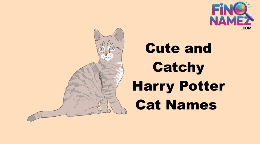 Cute and Catchy Harry Potter Cat Names