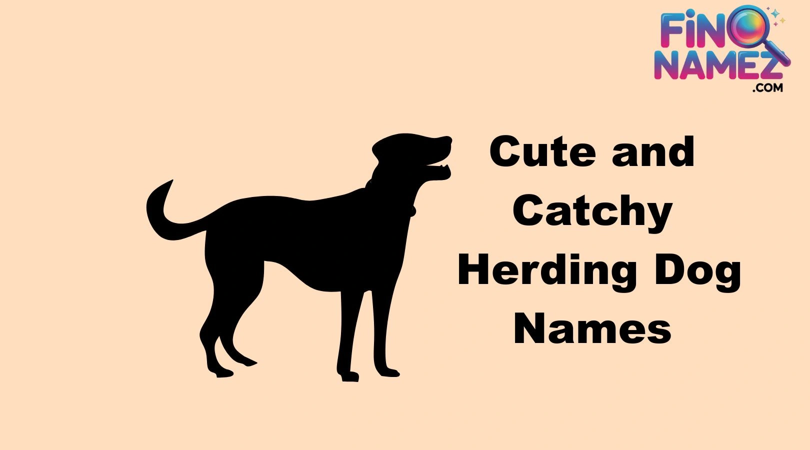 Cute and Catchy Herding Dog Names