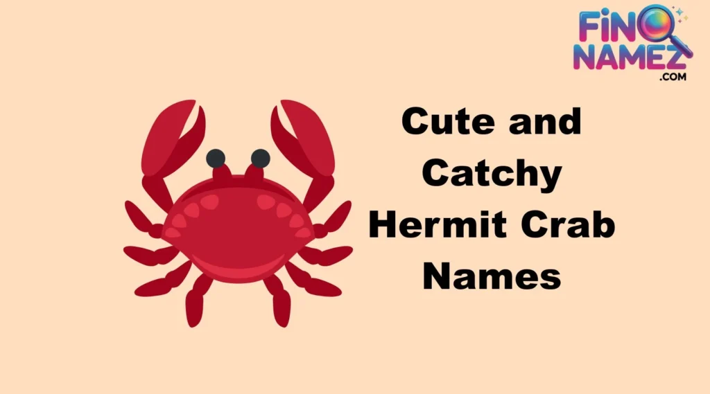 Cute and Catchy Hermit Crab Names