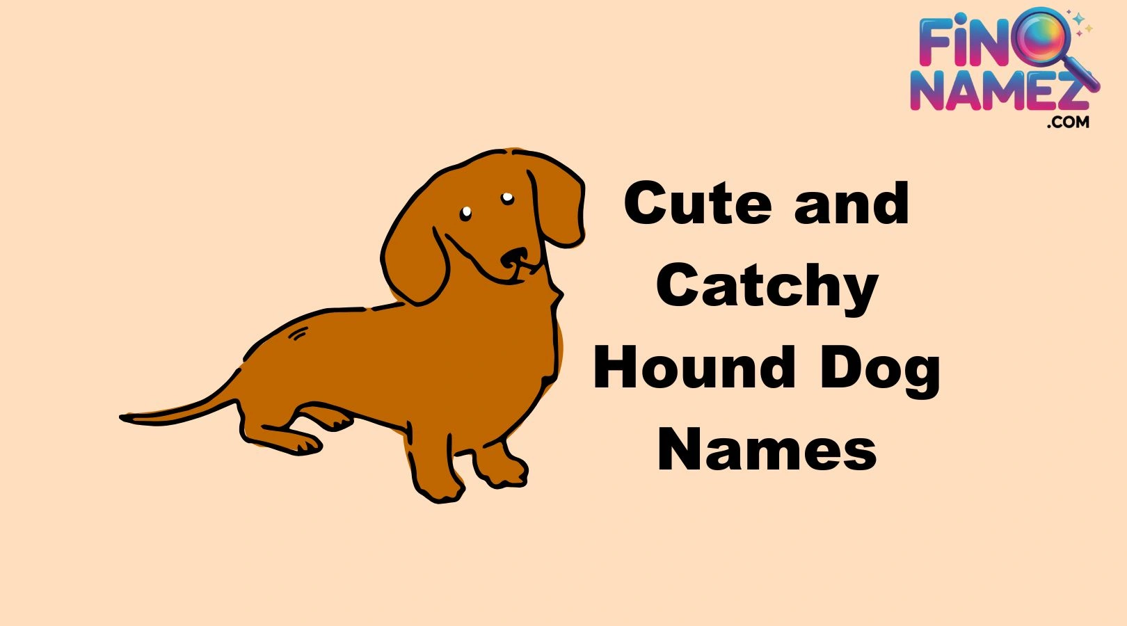 Cute and Catchy Hound Dog Names