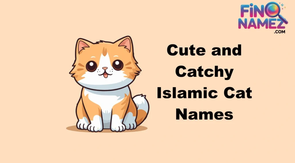 Cute and Catchy Islamic Cat Names