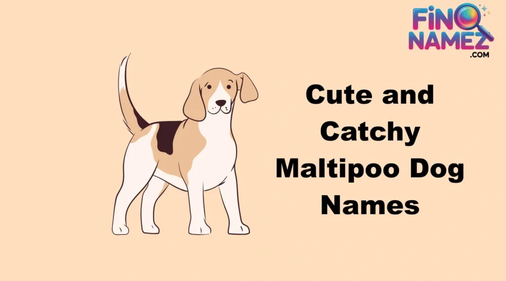 Cute and Catchy Maltipoo Dog Names