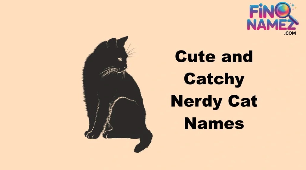 Cute and Catchy Nerdy Cat Names