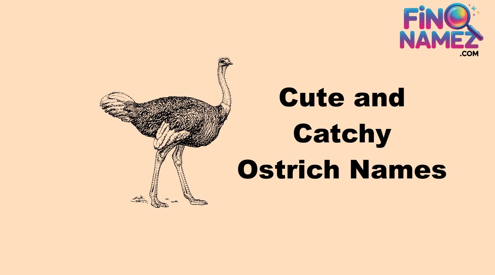 Cute and Catchy Ostrich Names