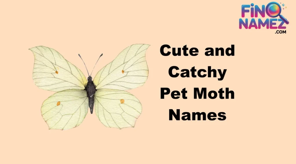Cute and Catchy Pet Moth Names