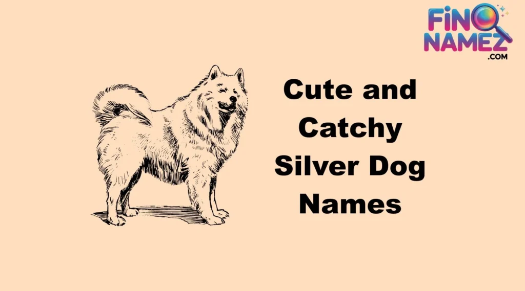 Cute and Catchy Silver Dog Names