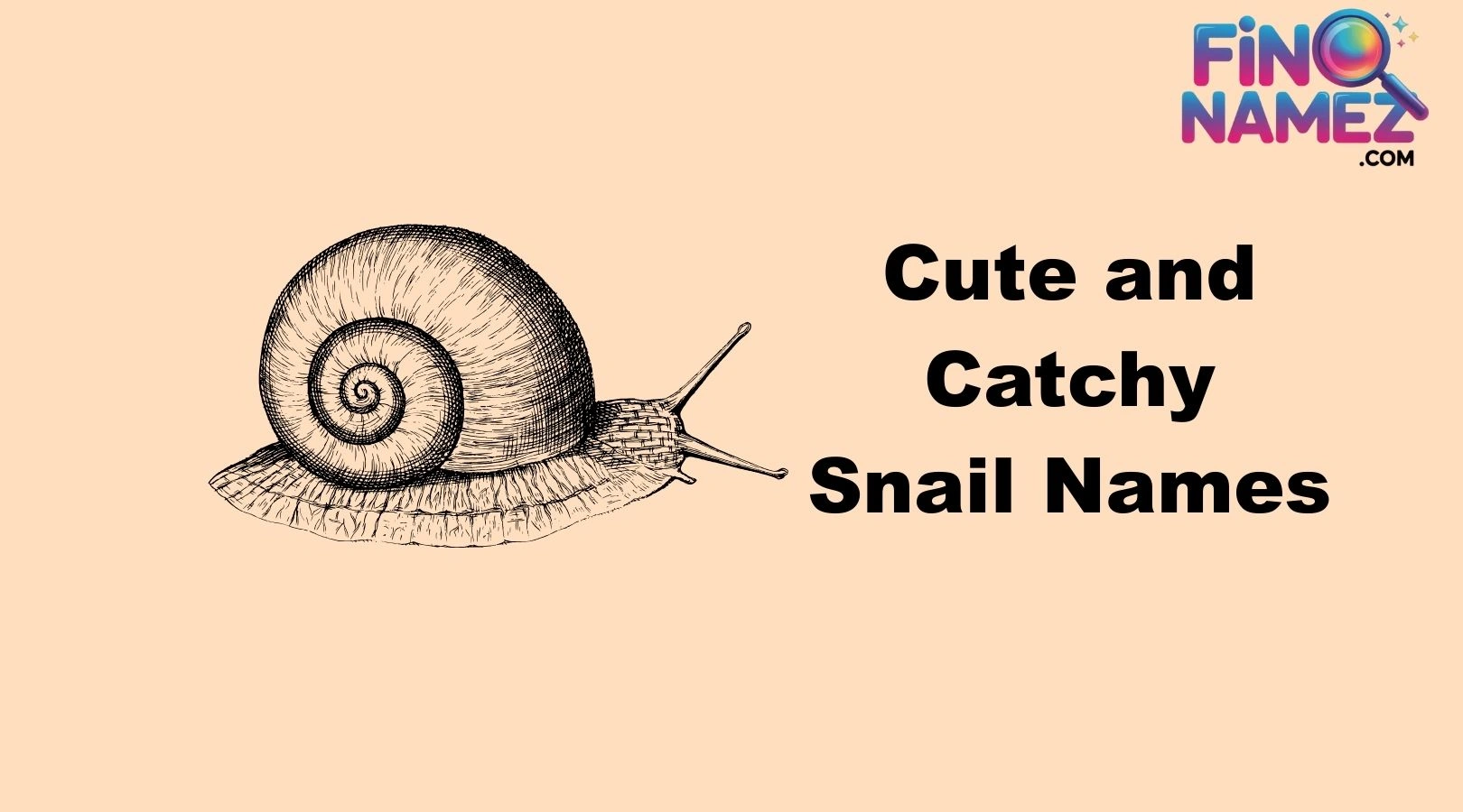 Cute and Catchy Snail Names