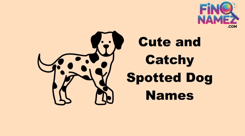 Cute and Catchy Spotted Dog Names