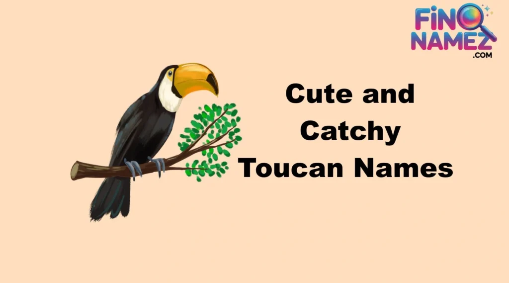 Cute and Catchy Toucan Names