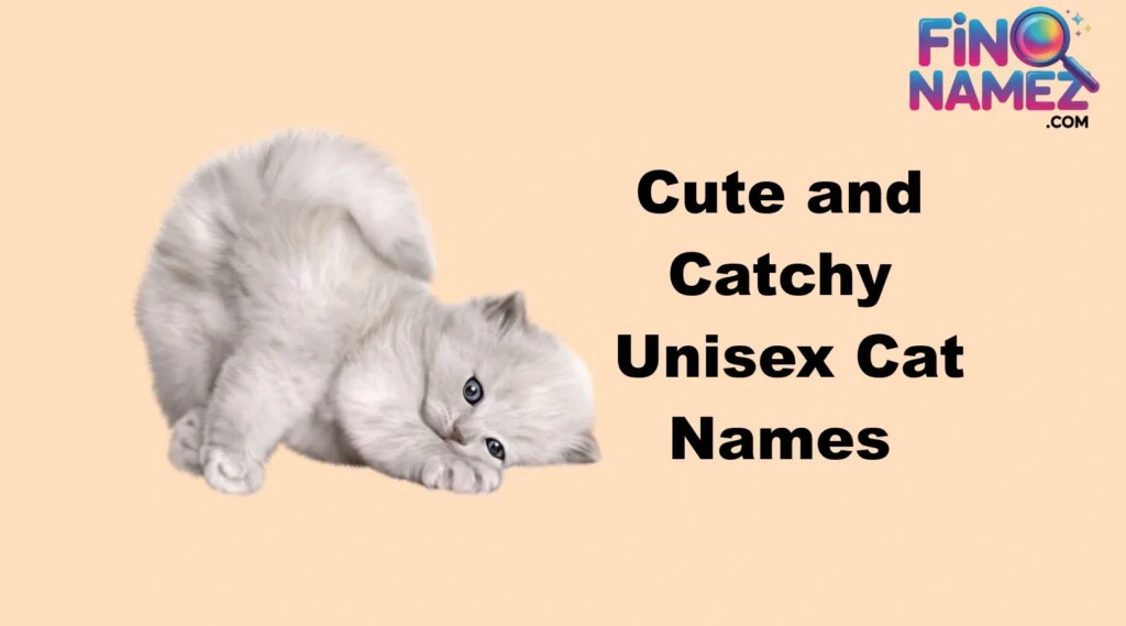 Cute and Catchy Unisex Cat Names