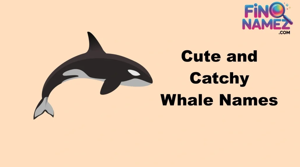 Cute and Catchy Whale Names