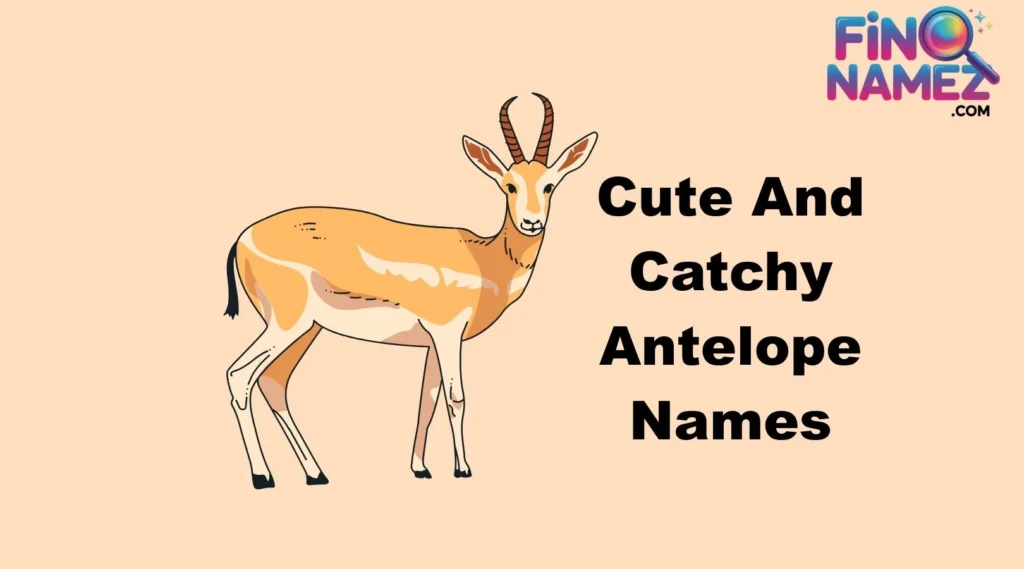 Cute And Catchy Antelope Names