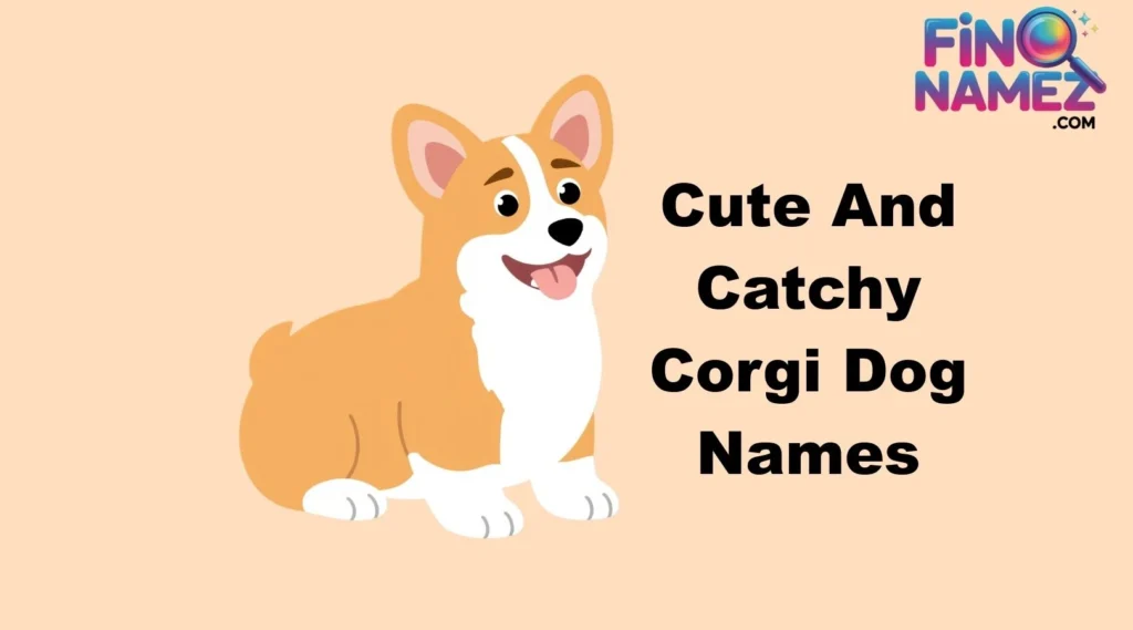 Cute And Catchy Corgi Dog Names