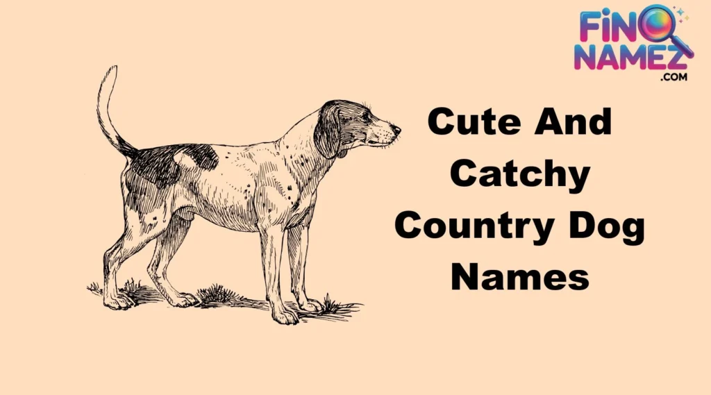 Cute And Catchy Country Dog Names
