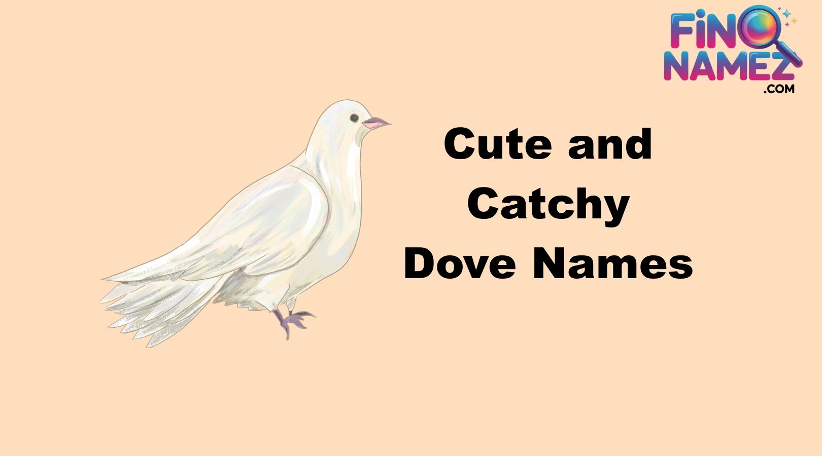 Cute and Catchy Dove Names