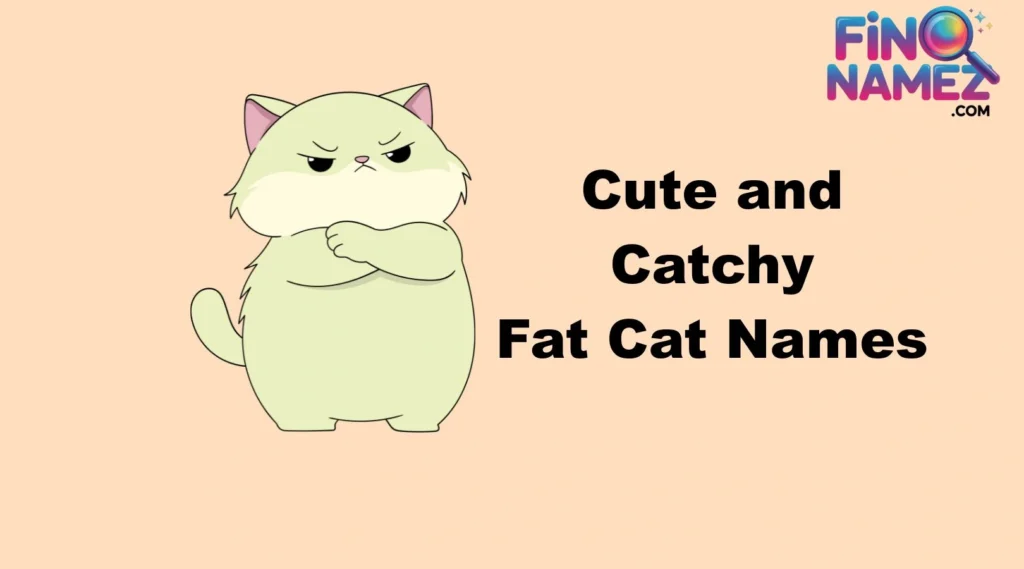 Cute and Catchy Fat Cat Names