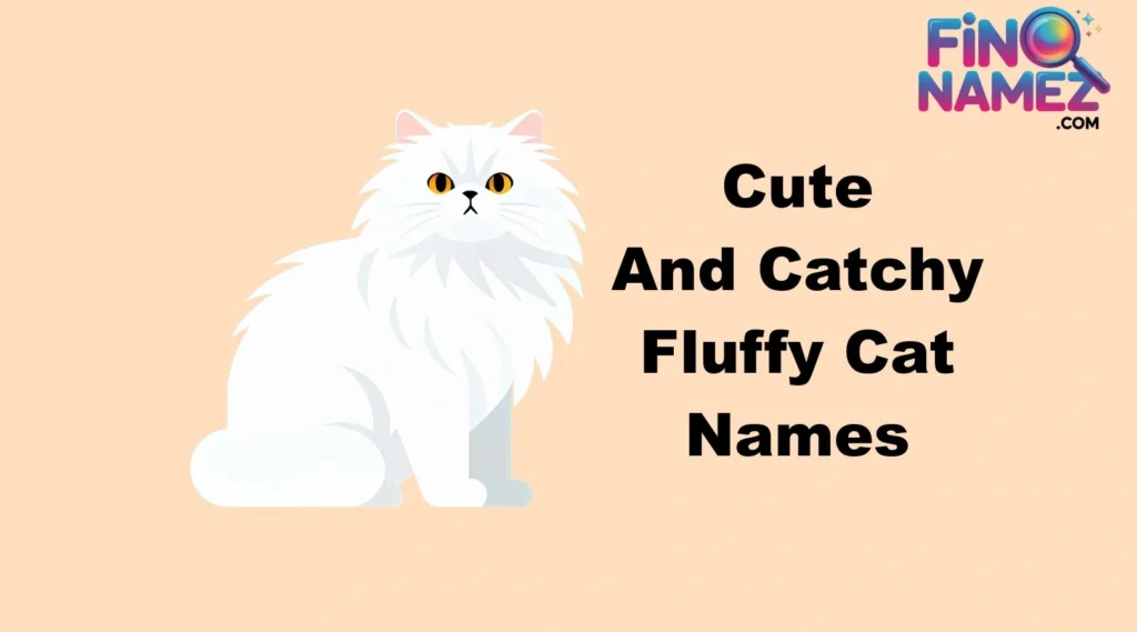 Cute And Catchy Fluffy Cat Names