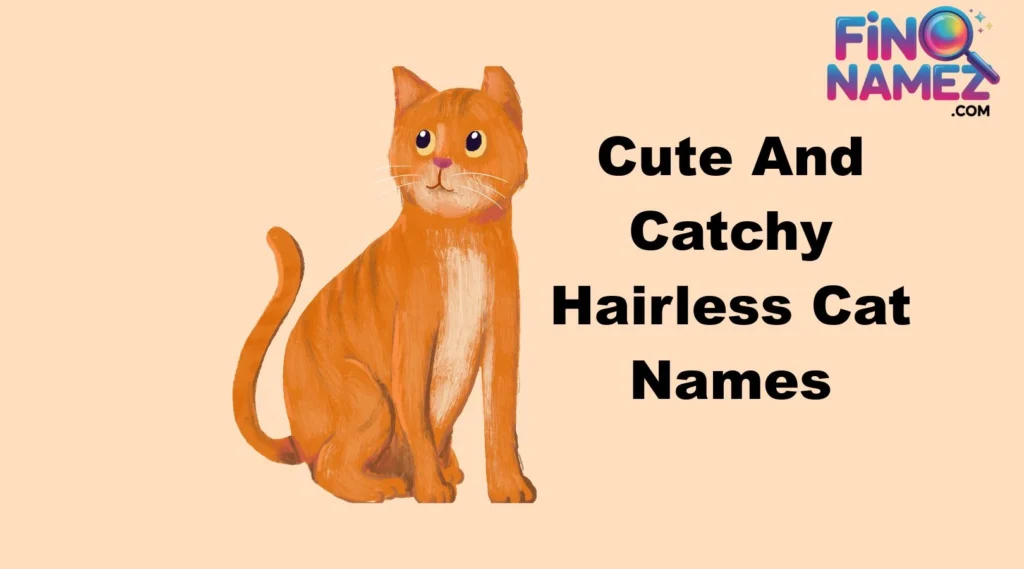 Cute And Catchy Hairless Cat Names
