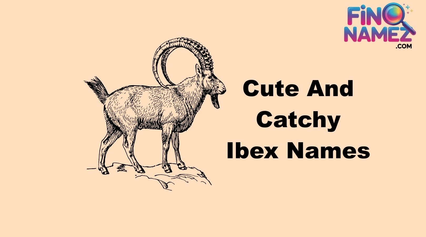 Cute And Catchy Ibex Names