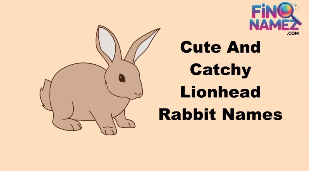 Cute And Catchy Lionhead Rabbit Names