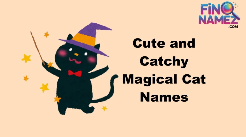 Cute and Catchy Magical Cat Names