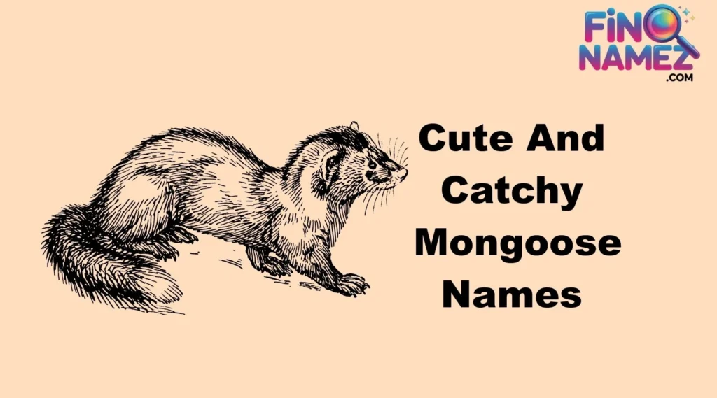 Cute And Catchy Mongoose Names