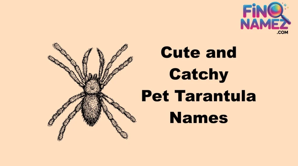 Cute and Catchy Pet Tarantula Names