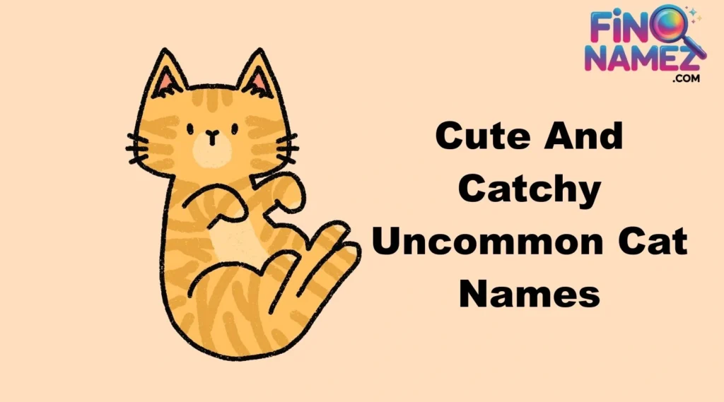 Cute And Catchy Uncommon Cat Names