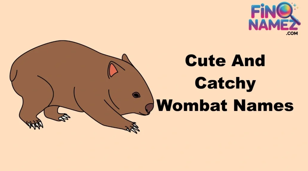 Cute And Catchy Wombat Names
